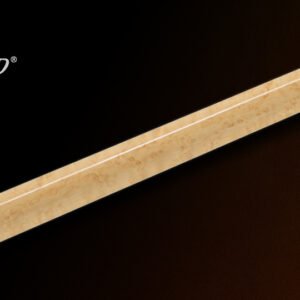 EXC2-MN
